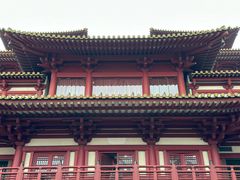 -新加坡佛牙寺龙华院
