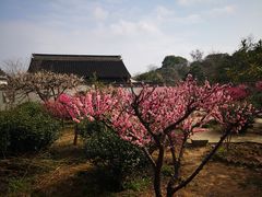 -雨花胜境
