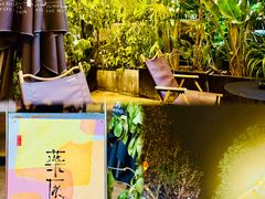 -MEDISN·药厂