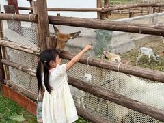 -杭州湾海上花田景区