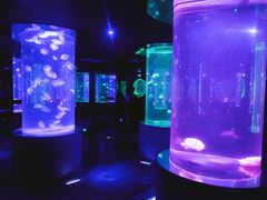 -南昌海洋公园