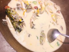 -咕嘟草帽鱼·牛奶一样的鲜鱼汤(天鹅湖万达广场店)