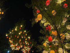 -鸡鸣山公园