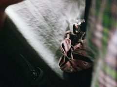 -潭村(地铁站)