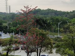 -中国移动南方基地