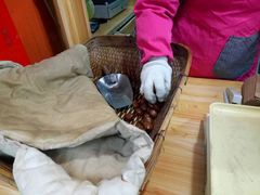 -黑孩油栗皇(南阳路店)