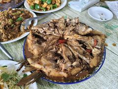 -金鹏鱼肉馆