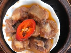 -琼海·狮椰美食楼