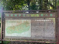 -莫里热带雨林景区