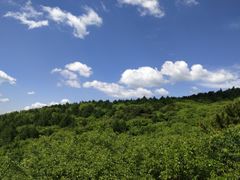 -妙峰山风景名胜区
