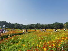 -北陵公园