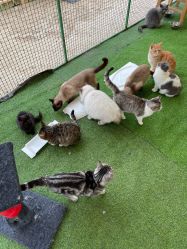 -萌宠亲子动物乐园(槐房万达店)