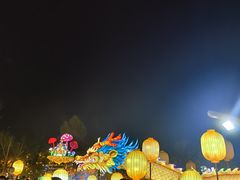 -洋湖国家湿地公园