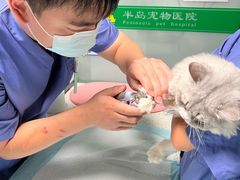 -半岛宠物医院24小时(科华中路店)