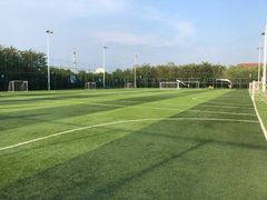 -中关村软件园智云足球场