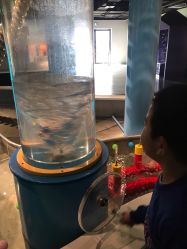 -北京科学中心儿童乐园