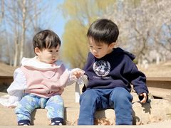 -永定河休闲森林公园