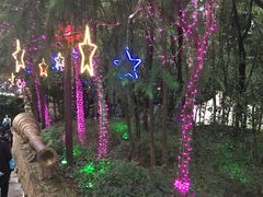 -横店影视城梦幻谷园区