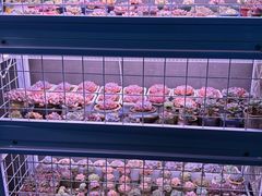 -琥珀老六龙虾(四里河店)