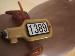 -碧中海汤泉汗蒸酒店