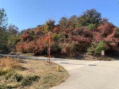 -北京西山国家森林公园