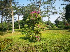 -白沙门生态公园