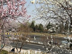 -万通商城