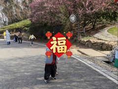 -南京市江宁方山