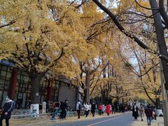 -四川大学(华西校区)