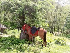 景点-陶祖圣境风景区