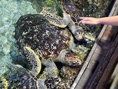 -福州罗源湾海洋世界旅游区