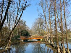 -桤木河湿地公园