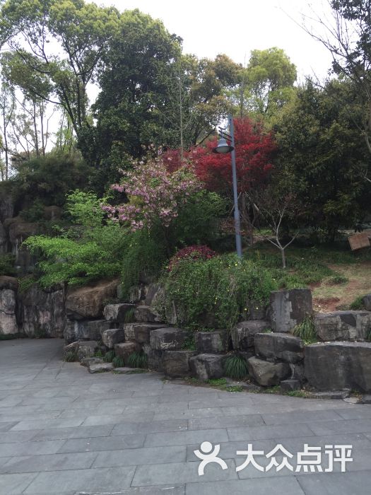 鹿山公園-圖片-嵊州市周邊遊-大眾點評網