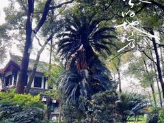-成都市文殊院