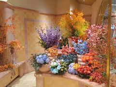 -BEAST野兽派(上海浦东嘉里城店)