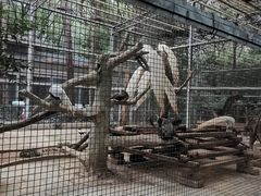 -柳州市动物园