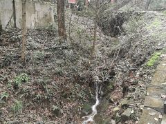 -西湖风景区十里琅珰-五云山