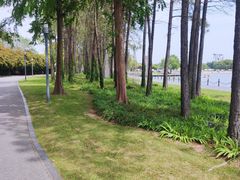 -上海月湖雕塑公园