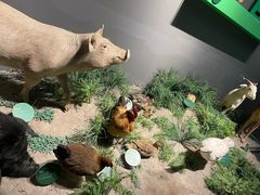 -武汉园博园(武汉自然博物馆)