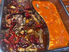 -齐祺鱼锅.清真(兰考店)