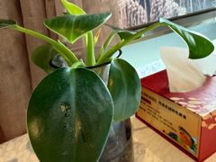 -旺顺阁·北京菜(北辰上品+)