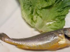 -常德武陵天济喜来登酒店-盛宴餐厅