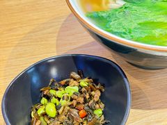 -美食小镇·观赏珍稀鸟类·长隆熊猫酒店