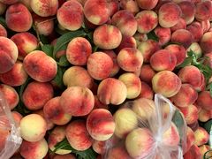 -树木岭集贸市场(劳动东路)