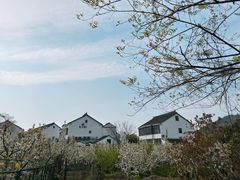 -树山生态村