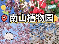 -南山植物园