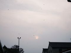 -海河外滩公园
