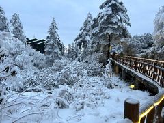 -瓦屋山景区