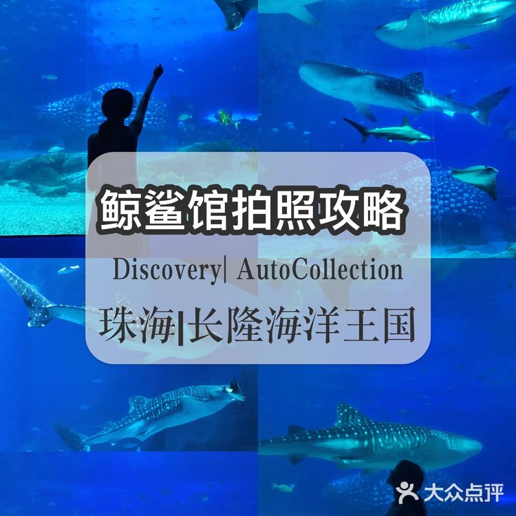 珠海长隆海洋王国 | 鲸鲨馆💯拍照攻略