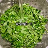 舌尖上的春日精灵——枸杞头